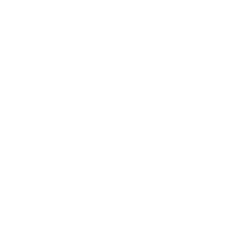 CV icon